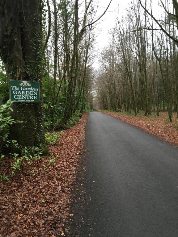 Leitrim Inn Carrick on Shannon 外观 照片